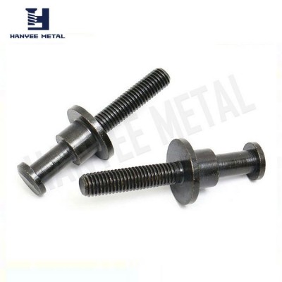 Factory price factory supply eccentric bolts